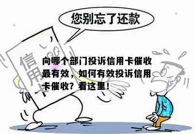 向哪个部门投诉信用卡最有效，如何有效投诉信用卡？看这里！