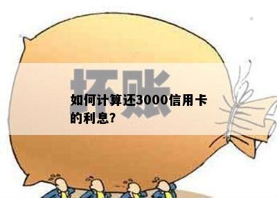 如何计算还3000信用卡的利息？