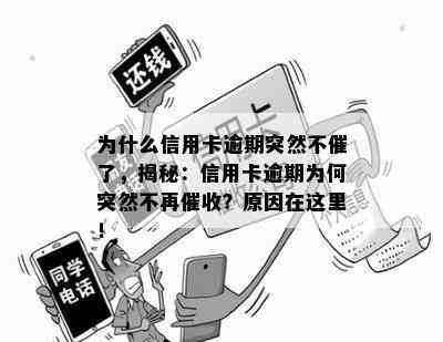 为什么信用卡逾期突然不催了，揭秘：信用卡逾期为何突然不再？原因在这里！