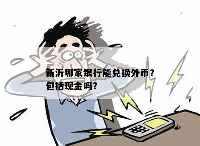 新沂哪家银行能兑换外币？包括现金吗？