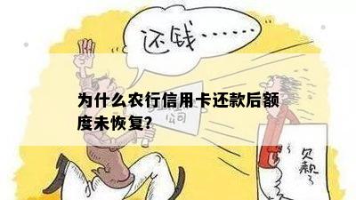 为什么农行信用卡还款后额度未恢复？