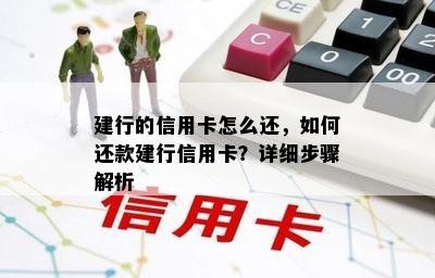 建行的信用卡怎么还，如何还款建行信用卡？详细步骤解析