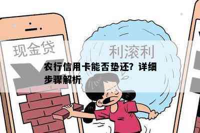 农行信用卡能否垫还？详细步骤解析