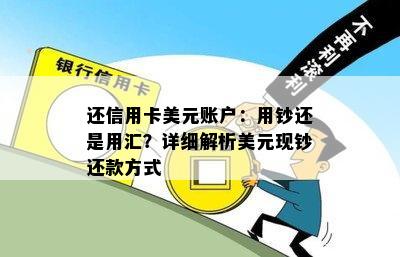 还信用卡美元账户：用钞还是用汇？详细解析美元现钞还款方式