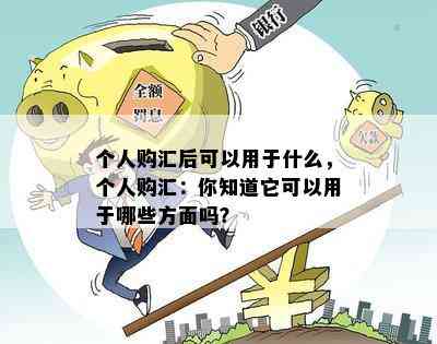 个人购汇后可以用于什么，个人购汇：你知道它可以用于哪些方面吗？