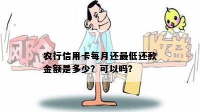 农行信用卡每月还更低还款金额是多少？可以吗？