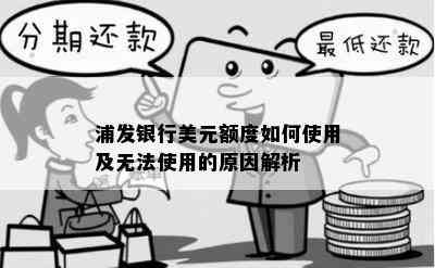 浦发银行美元额度如何使用及无法使用的原因解析