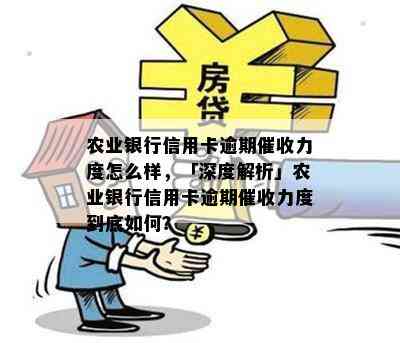 农业银行信用卡逾期力度怎么样，「深度解析」农业银行信用卡逾期力度到底如何？