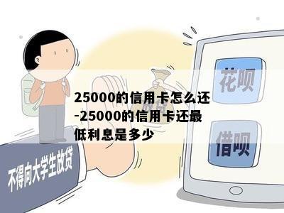 25000的信用卡怎么还-25000的信用卡还更低利息是多少