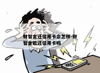 财智金还信用卡会怎样-财智金能还信用卡吗