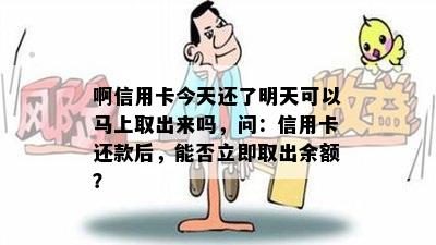 啊信用卡今天还了明天可以马上取出来吗，问：信用卡还款后，能否立即取出余额？