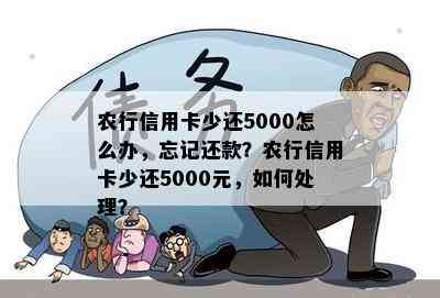 农行信用卡少还5000怎么办，忘记还款？农行信用卡少还5000元，如何处理？