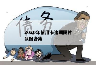 2020年信用卡逾期图片截图合集