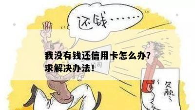 我没有钱还信用卡怎么办？求解决办法！