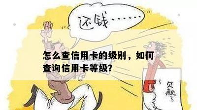 怎么查信用卡的级别，如何查询信用卡等级？