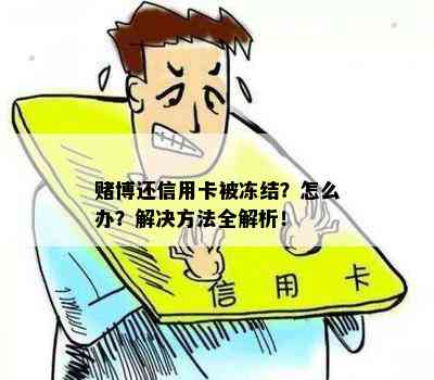 博还信用卡被冻结？怎么办？解决方法全解析！