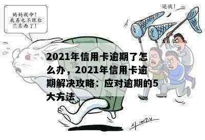 2021年信用卡逾期了怎么办，2021年信用卡逾期解决攻略：应对逾期的5大方法