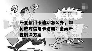 严查信用卡逾期怎么办，如何应对信用卡逾期：全面严查解决方案