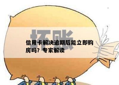 信用卡解决逾期后能立即购房吗？专家解读