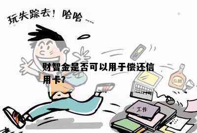 财智金是否可以用于偿还信用卡？