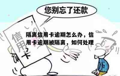 隔离信用卡逾期怎么办，信用卡逾期被隔离，如何处理？