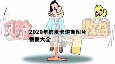 2020年信用卡逾期图片截图大全