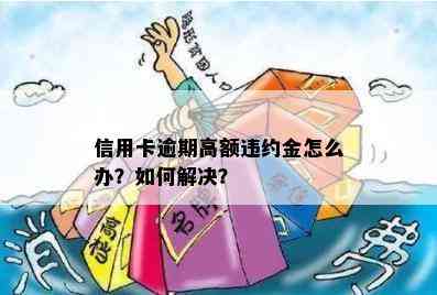 信用卡逾期高额违约金怎么办？如何解决？