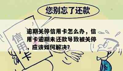 逾期关停信用卡怎么办，信用卡逾期未还款导致被关停，应该如何解决？