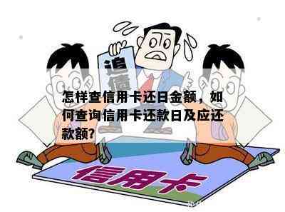 怎样查信用卡还日金额，如何查询信用卡还款日及应还款额？