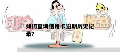 如何查询信用卡逾期历史记录？