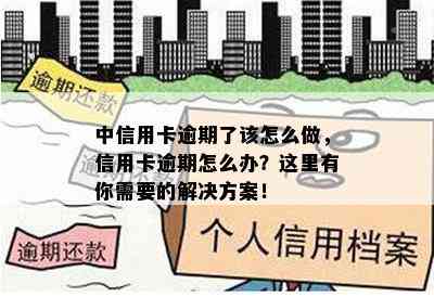 中信用卡逾期了该怎么做，信用卡逾期怎么办？这里有你需要的解决方案！