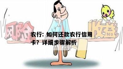 农行: 如何还款农行信用卡？详细步骤解析