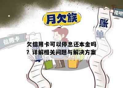 欠信用卡可以停息还本金吗？详解相关问题与解决方案