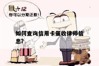 如何查询信用卡律师信息？