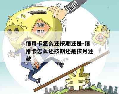 信用卡怎么还按期还是-信用卡怎么还按期还是按月还款