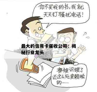 更大的信用卡公司：揭秘行业龙头