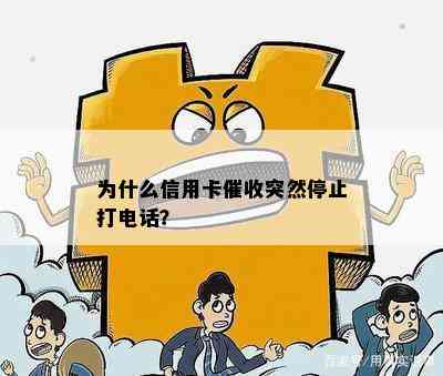 为什么信用卡突然停止打电话？