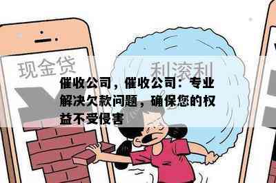 公司，公司：专业解决欠款问题，确保您的权益不受侵害