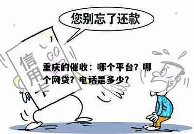 重庆的：哪个平台？哪个网贷？电话是多少？