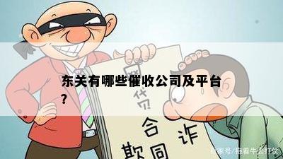 东关有哪些公司及平台？