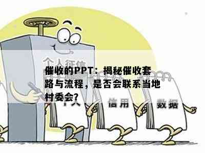 的PPT：揭秘套路与流程，是否会联系当地村委会？