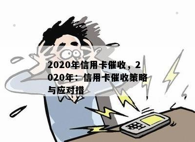 2020年信用卡，2020年：信用卡策略与应对措