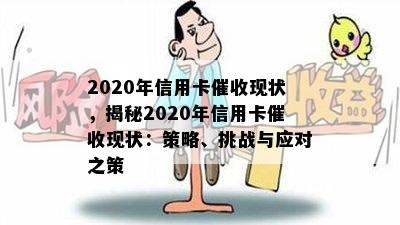 2020年信用卡现状，揭秘2020年信用卡现状：策略、挑战与应对之策