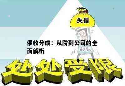 分成：从阶到公司的全面解析