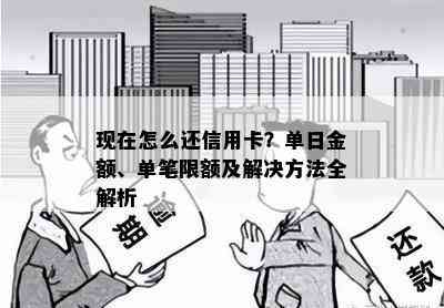 现在怎么还信用卡？单日金额、单笔限额及解决方法全解析