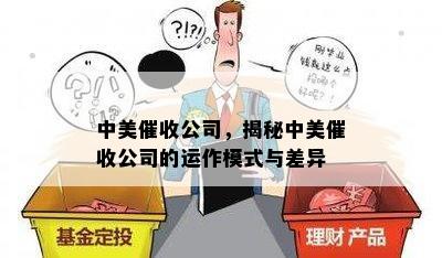 中美公司，揭秘中美公司的运作模式与差异