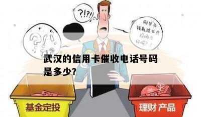 武汉的信用卡电话号码是多少？