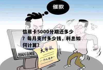 信用卡5000分期还多少？每月支付多少钱，利息如何计算？