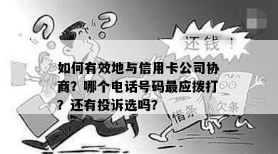 如何有效地与信用卡公司协商？哪个电话号码最应拨打？还有投诉选吗？