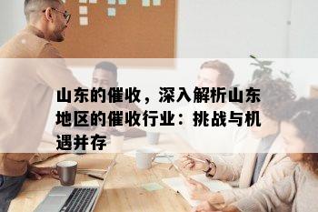 山东的，深入解析山东地区的行业：挑战与机遇并存